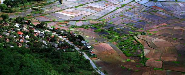 mai-chau-brown-valley